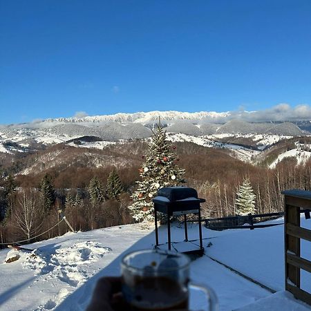 Cabanuta Din Munti Hotel Моечу де Жос Екстериор снимка