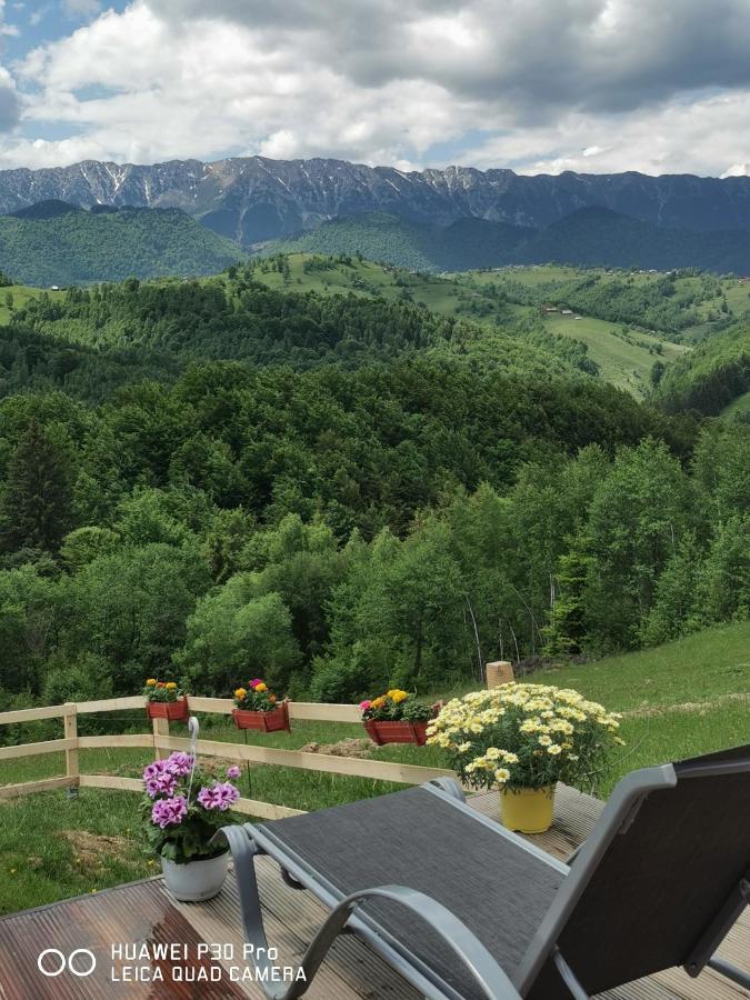 Cabanuta Din Munti Hotel Моечу де Жос Екстериор снимка