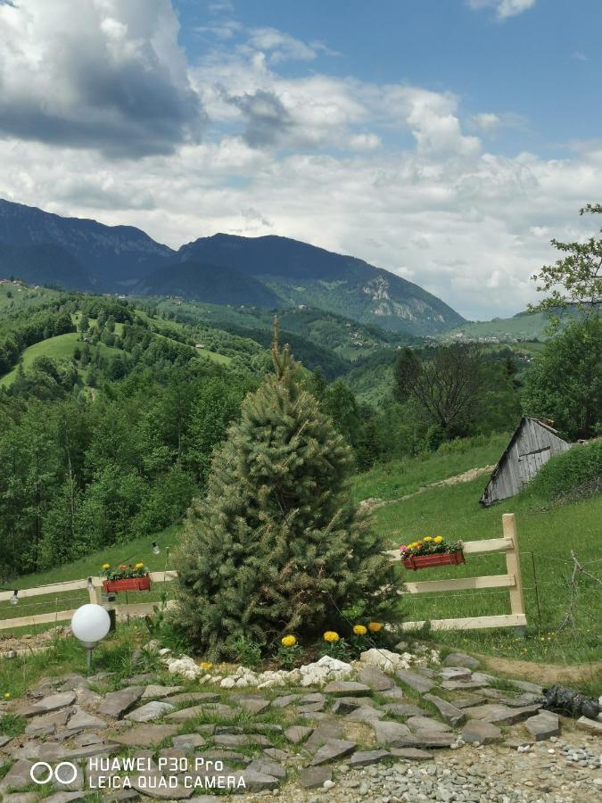 Cabanuta Din Munti Hotel Моечу де Жос Екстериор снимка