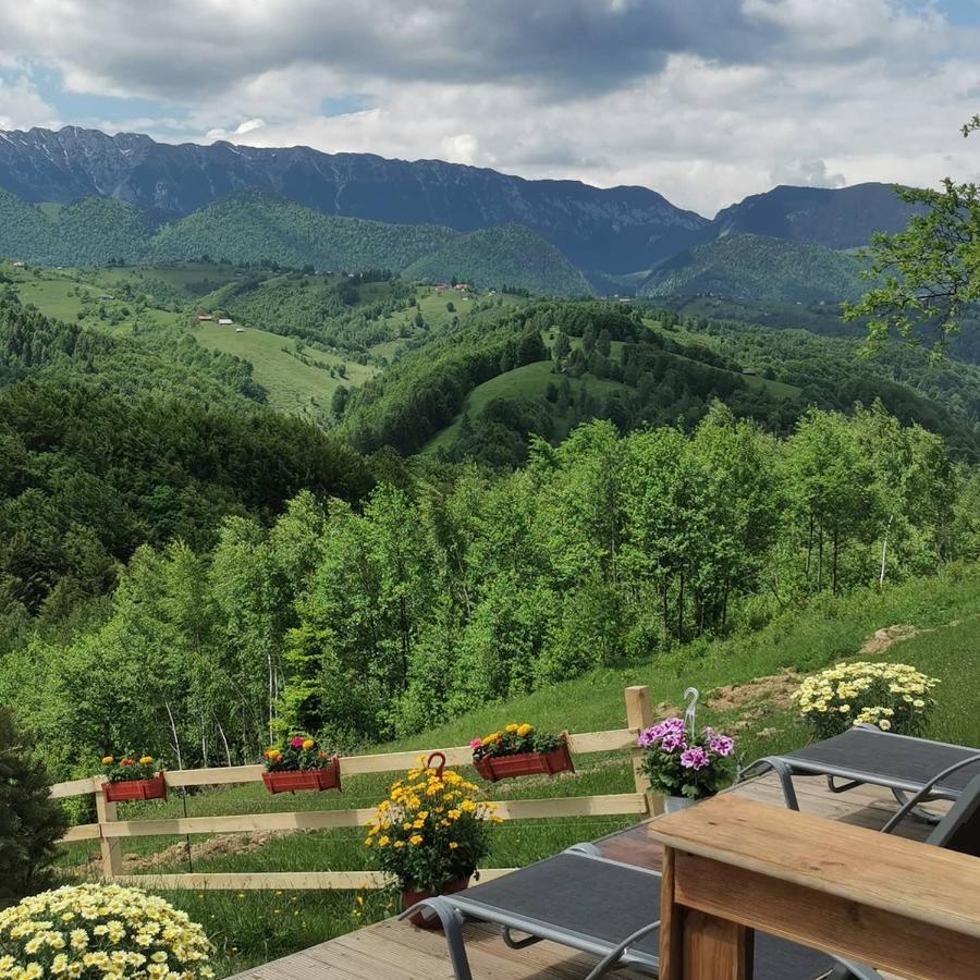 Cabanuta Din Munti Hotel Моечу де Жос Екстериор снимка