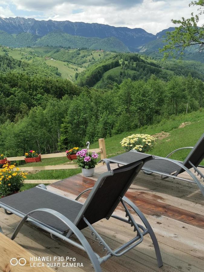 Cabanuta Din Munti Hotel Моечу де Жос Екстериор снимка
