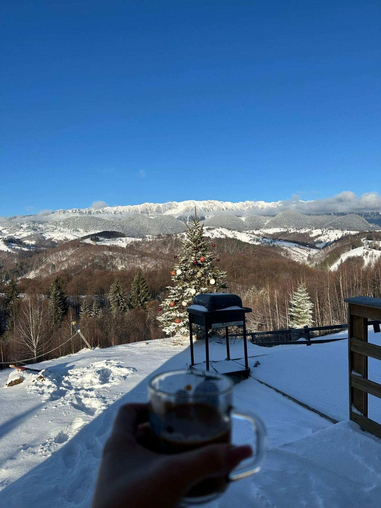 Cabanuta Din Munti Hotel Моечу де Жос Екстериор снимка