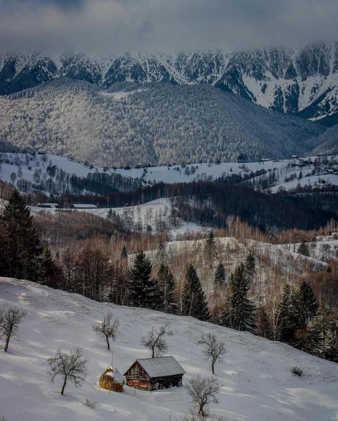 Cabanuta Din Munti Hotel Моечу де Жос Екстериор снимка